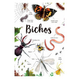 mi-primer-libro-de-la-naturaleza-camilla-de-la-bedoyere-4