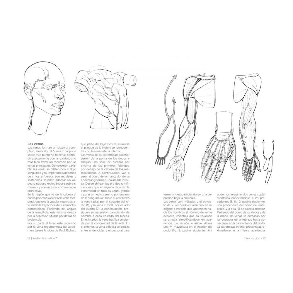 michel-lauricella-libro-anatomia-artistica-7-cuerpos-musculados-4