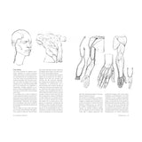 michel-lauricella-libro-anatomia-artistica-7-cuerpos-musculados-4