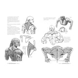 michel-lauricella-libro-anatomia-artistica-7-cuerpos-musculados-5