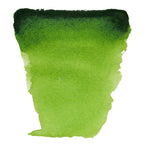 623 Verde Vejiga