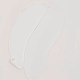 van-gogh-oil-colour-oleo-40-ml-104-blanco-cinc